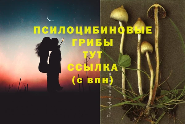 скорость Алексеевка